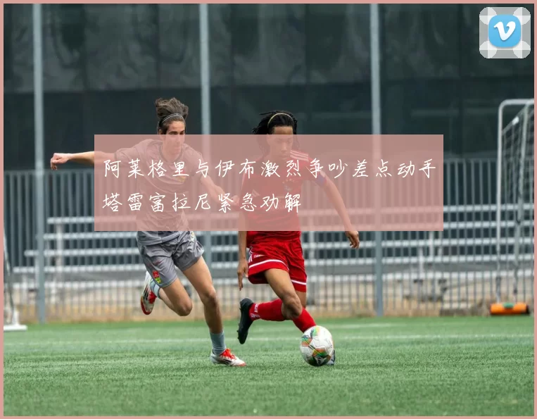 阿莱格里与伊布激烈争吵差点动手塔雷富拉尼紧急劝解