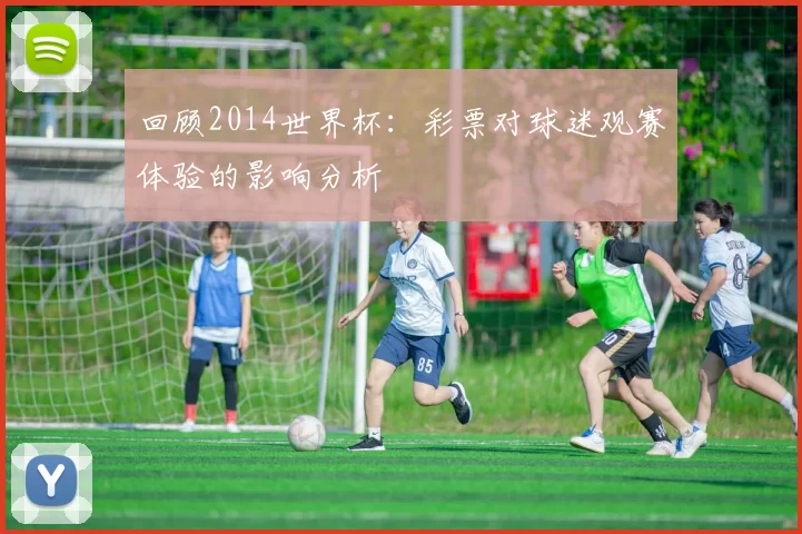 回顾2014世界杯:彩票对球迷观赛体验的影响分析