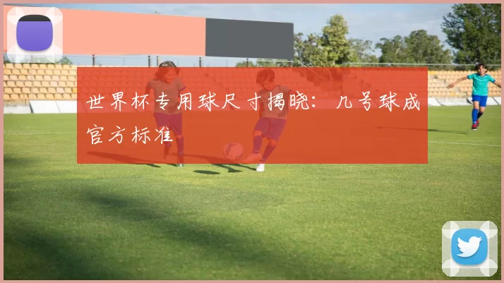 世界杯专用球尺寸揭晓：几号球成官方标准