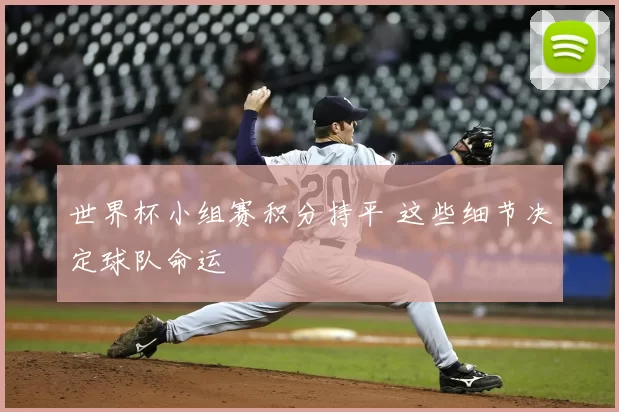 世界杯小组赛积分持平 这些细节决定球队命运