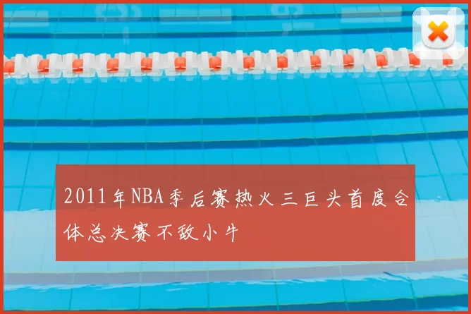 2011年NBA季后赛热火三巨头首度合体总决赛不敌小牛