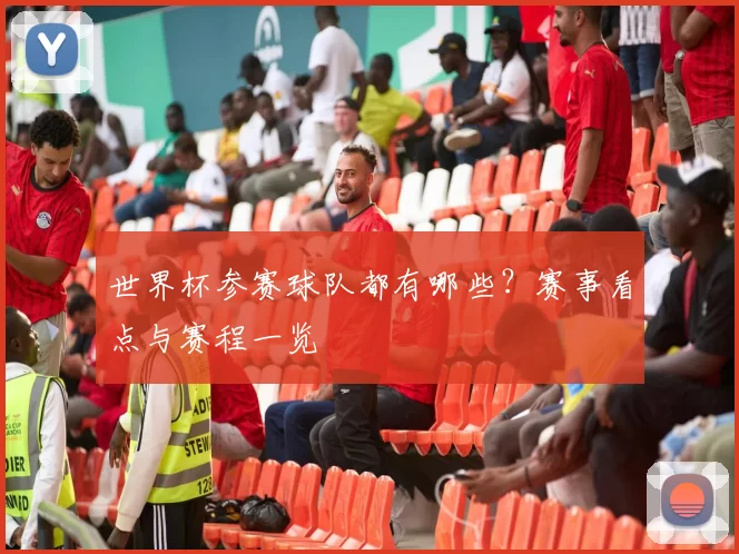 世界杯参赛球队都有哪些？赛事看点与赛程一览