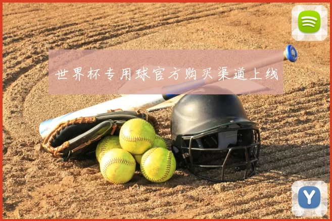世界杯专用球官方购买渠道上线