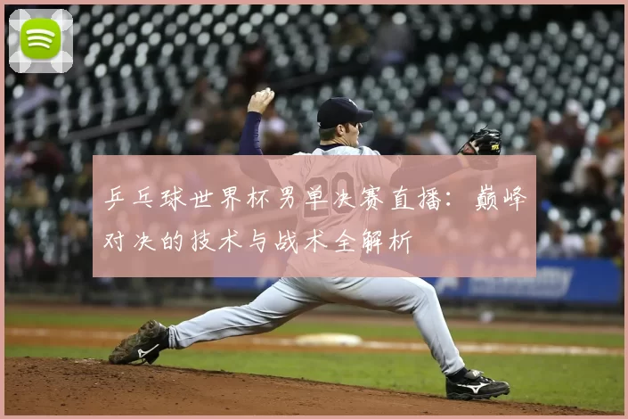 乒乓球世界杯男单决赛直播：巅峰对决的技术与战术全解析