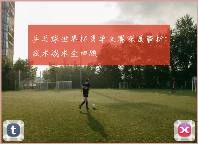 乒乓球世界杯男单决赛深度解析：技术战术全回顾
