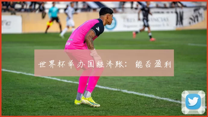 世界杯举办国经济账：能否盈利
