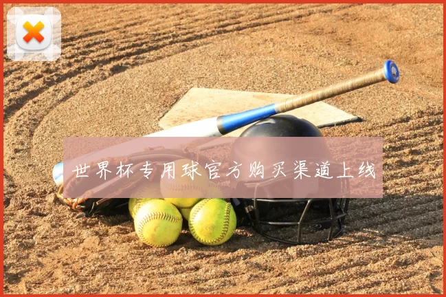 世界杯专用球官方购买渠道上线