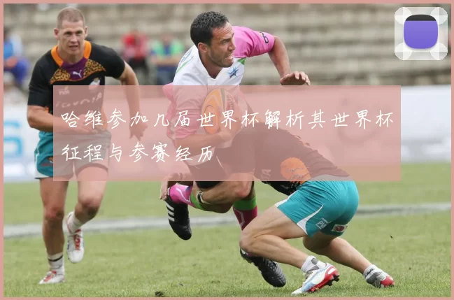 哈维参加几届世界杯解析其世界杯征程与参赛经历