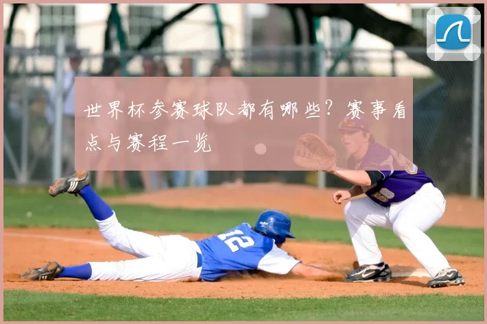 世界杯参赛球队都有哪些？赛事看点与赛程一览